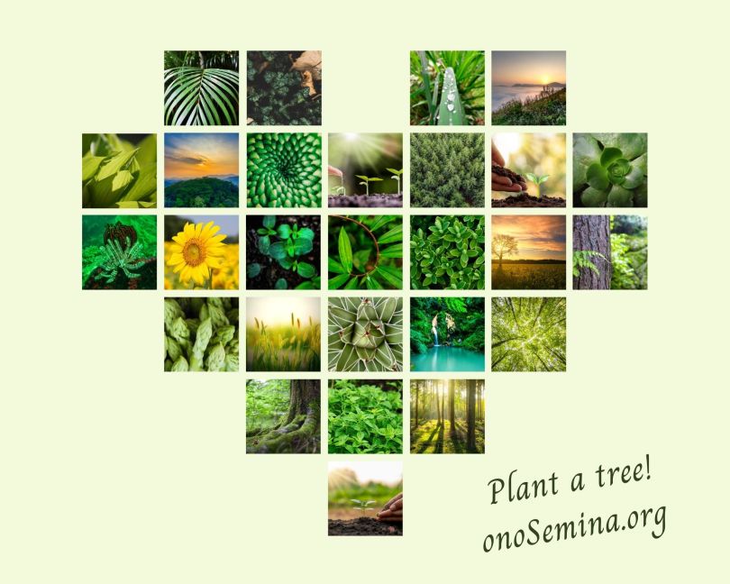 Maria Bucardi onoSemina, plant, trees, protect environment, help planet, ecology